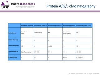 © Innova Biosciences Ltd. All rights reserved 
Recombinant ProteinA 
Recombinant ProteinG 
Recombinant ProteinA/G 
Recombinant ProteinL 
RecombinantProtein A/G/L 
Native Source 
Staphylococcusaureus 
Streptococcus 
N/A 
Peptostrepto- coccusmagnus 
N/A 
Binding Sites for Ig 
5 
2 
6 
4 
13 
Optimal Binding pH 
8-9 
5 
5 to 8.2 
7.5 
7.5 
Typical elution pH 
3.0 –7.0 
(isotypedependent) 
2.5 –3.0 
2.5 –3.0 
2.0 –3.0 
2.5–3.0 
Ig Binding Target 
Fc 
Fc 
Fc 
VL-kappa 
Fc + VL-kappa 
Protein A/G/L chromatography  
