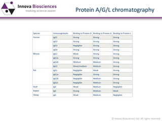 © Innova Biosciences Ltd. All rights reserved 
Species 
Immunoglobulin 
Binding to Protein A 
Binding to Protein G 
Binding to Protein L 
Human 
IgG1 
Strong 
Strong 
Strong 
IgG2 
Strong 
Strong 
Strong 
IgG3 
Negligible 
Strong 
Strong 
IgG4 
Strong 
Strong 
Strong 
Mouse 
lgG1 
Weak 
Strong 
Strong 
lgG2a 
Strong 
Strong 
Strong 
lgG2b 
Medium 
Medium 
Strong 
lgG3 
Weak/medium 
Medium 
Strong 
Rat 
lgG1 
Negligible 
Weak 
Strong 
lgG2a 
Negligible 
Strong 
Strong 
lgG2b 
Negligible 
Medium 
Strong 
lgG2c 
Negligible 
Medium 
Strong 
Goat 
lgG 
Weak 
Medium 
Negligible 
Rabbit 
lgG 
Strong 
Medium 
Weak 
Sheep 
lgG 
Weak 
Medium 
Negligible 
Protein A/G/L chromatography  
