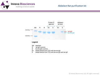 © Innova Biosciences Ltd. All rights reserved 
AbSelectRat purification kit  
