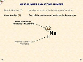 MASS NUMBER AND ATOMIC NUMBER
MASS NUMBER AND ATOMIC NUMBER
Atomic Number (Z) Number of protons in the nucleus of an atom
Mass Number (A) Sum of the protons and neutrons in the nucleus
Na
23
11
Mass Number (A)
PROTONS + NEUTRONS
Atomic Number (Z)
PROTONS
 