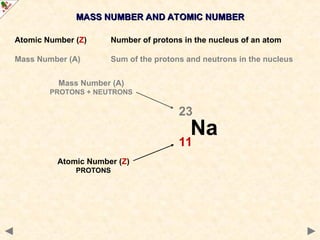 MASS NUMBER AND ATOMIC NUMBER
MASS NUMBER AND ATOMIC NUMBER
Atomic Number (Z) Number of protons in the nucleus of an atom
Mass Number (A) Sum of the protons and neutrons in the nucleus
Na
23
11
Mass Number (A)
PROTONS + NEUTRONS
Atomic Number (Z)
PROTONS
 