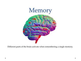 Memory
Different parts of the brain activate when remembering a single memory.
 