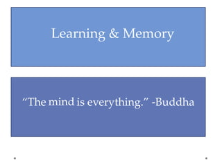 Learning & Memory
“The is everything.” -Buddhamind
 