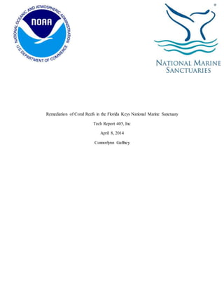Gaffney 1
Remediation of Coral Reefs in the Florida Keys National Marine Sanctuary
Tech Report 405, Inc
April 8, 2014
Connorlynn Gaffney
 