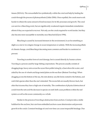 Gaffney 3
tissues (NOAA). The zooxanthelle live symbiotically within the coral and help by feeding the
corals through the process of photosynthesis (Littler 2006). Once expelled, the corals must work
harder to obtain the same amount of food necessary for its life processes and growth. The coral
can survive a bleaching event, but are significantly weakened require immediate remediation
efforts if they are expected to recover. Not only are the corals required to work harder, but they
also become more susceptible to mortality once bleached (Glynn 1996).
Bleaching is caused by increased stressors in the environment; it can be something as
slight as a one to two degree change in ocean temperature or salinity. With the increasing effects
of climate change, coral bleaching is becoming more common and harder to counteract or
prevent.
Trawling is another form of coral damage, but is caused directly by human actions.
Trawling is a process used by large fishing corporations. The process usually consists of
dragging large, heavy nets across the ocean floor pulled along by a boat above the water, and
aided by the use of wheels and large metal plates on the sea floor (Bottom Trawling). When
dragging across the bottom of the sea, the nets destroy any life forms rooted to the bottom, and
catch fish species other than the one’s intended. The excess fish are usually thrown back, but
after that trauma they have a high rate of mortality. The combination of physical destruction of
corals from the nets and the decrease in species on reefs both cause problems within the reef
system as well as the ocean community as a whole.
Similar to the process of trawling is destruction from anchors. Coral provides a stable
holdfast for the anchors, but cuts from embedded anchors cause deterioration and prevents
growth in the corals. Constant breakage of coral over time can cause irreparable breakage. Due
 