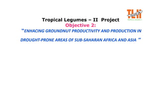 Tropical Legumes – II Project
                 Objective 2:
“ENHACING GROUNDNUT PRODUCTIVITY AND PRODUCTION IN 

                                                   
DROUGHT‐PRONE AREAS OF SUB‐SAHARAN AFRICA AND ASIA ”



                       By


                        By
 