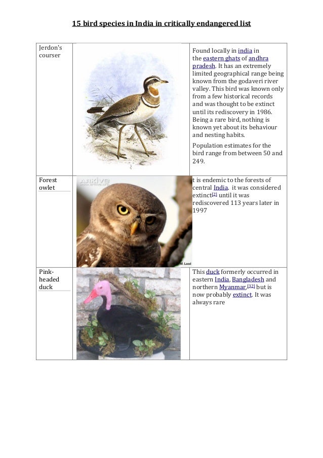 15 bird species in india in critically endangered list