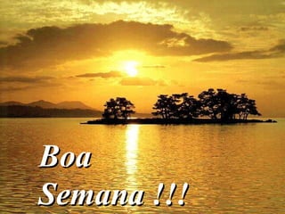 BoaBoa
Semana !!!Semana !!!
 