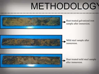 METHODOLOGY
Heat treated mild steel sample
after immersion.
Heat treated galvanized iron
sample after immersion.
Mild steel sample after
immersion.
 