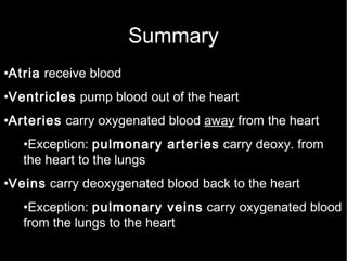 Summary Atria  receive blood  Ventricles  pump blood out of the heart Arteries  carry oxygenated blood  away  from the heart Exception:  pulmonary arteries  carry deoxy. from the heart to the lungs Veins  carry deoxygenated blood back to the heart Exception:  pulmonary veins  carry oxygenated blood from the lungs to the heart 