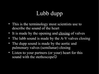 Lubb dupp This is the terminology most scientists use to describe the sound of the heart It is made by the opening and  closing  of valves The lubb sound is made by the A-V valves closing The dupp sound is made by the aortic and pulmonary valves (semilunar) closing Listen to your partners (or your) heart for this sound with the stethoscope  