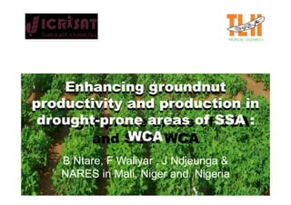 Enhancing groundnut
productivity and production in
 drought-prone areas of SSA :
 drought prone areas of SSA
             WCA
       and SEA: WCA
   B Ntare, F Waliyar , J Ndjeunga &
   NARES in Mali, Niger and Nigeria
 