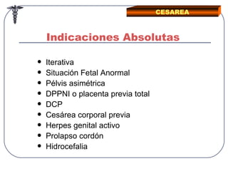 15 cesarea clase | PPT