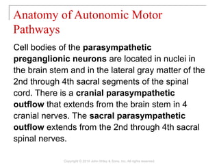 Cell bodies of the parasympathetic
preganglionic neurons are located in nuclei in
the brain stem and in the lateral gray matter of the
2nd through 4th sacral segments of the spinal
cord. There is a cranial parasympathetic
outflow that extends from the brain stem in 4
cranial nerves. The sacral parasympathetic
outflow extends from the 2nd through 4th sacral
spinal nerves.
Anatomy of Autonomic Motor
Pathways
Copyright © 2014 John Wiley & Sons, Inc. All rights reserved.
 