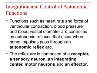  Functions such as heart rate and force of
ventricular contraction, blood pressure
and blood vessel diameter are controlled
by autonomic reflexes that occur when
nerve impulses pass through an
autonomic reflex arc.
 The reflex arc is composed of a receptor,
a sensory neuron, an integrating
center, motor neurons and an effector.
Integration and Control of Autonomic
Functions
Copyright © 2014 John Wiley & Sons, Inc. All rights reserved.
 