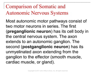 Most autonomic motor pathways consist of
two motor neurons in series. The first
(preganglionic neuron) has its cell body in
the central nervous system. The axon
extends to an autonomic ganglion. The
second (postganglionic neuron) has its
unmyelinated axon extending from the
ganglion to the effector (smooth muscle,
cardiac muscle, or gland).
Comparison of Somatic and
Autonomic Nervous Systems
Copyright © 2014 John Wiley & Sons, Inc. All rights reserved.
 