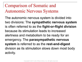 The autonomic nervous system is divided into
two divisions: The sympathetic nervous system
is often referred to as the fight-or-flight division
because its stimulation leads to increased
alertness and metabolism to be ready for an
emergency. The parasympathetic nervous
system is referred to as the rest-and-digest
division as its stimulation slows down most body
activity.
Comparison of Somatic and
Autonomic Nervous Systems
Copyright © 2014 John Wiley & Sons, Inc. All rights reserved.
 