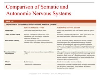 Comparison of Somatic and
Autonomic Nervous Systems
Copyright © 2014 John Wiley & Sons, Inc. All rights reserved.
 