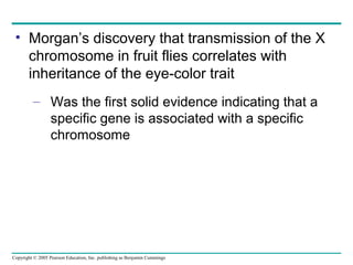 • Morgan’s discovery that transmission of the X
chromosome in fruit flies correlates with
inheritance of the eye-color trait
– Was the first solid evidence indicating that a
specific gene is associated with a specific
chromosome

Copyright © 2005 Pearson Education, Inc. publishing as Benjamin Cummings

 