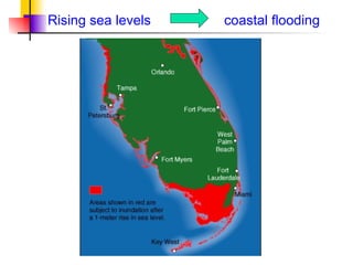 Rising sea levels  coastal flooding 