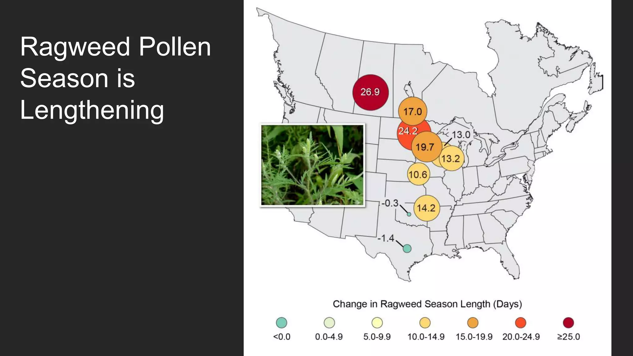 16
Ragweed Pollen
Season is
Lengthening
 