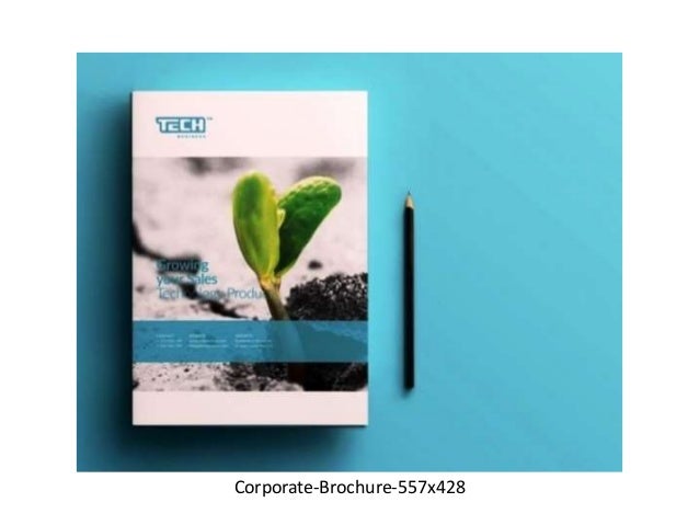 15 contoh brosur usaha bisnis