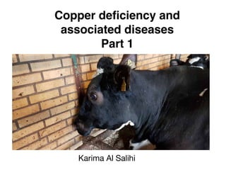 Copper deficiency and
associated diseases
Part 1
Karima Al Salihi
 