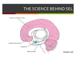 THE SCIENCE BEHIND SEL
STROOP TEST
 