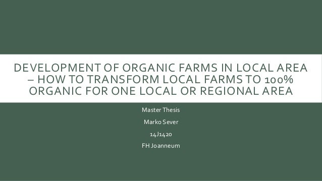 Local volatility master thesis