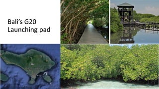 Bali’s G20
Launching pad
 