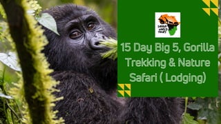 15 Day Big 5, Gorilla
Trekking & Nature
Safari ( Lodging)
 