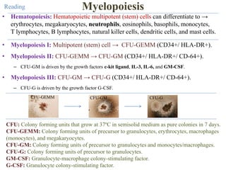 Disorders Of Myelopoiesis ppt disorders-of-myelopoiesis-ppt