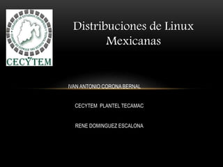 Distribuciones de Linux
Mexicanas
IVAN ANTONIO CORONA BERNAL
CECYTEM PLANTEL TECAMAC
RENE DOMINGUEZ ESCALONA
 