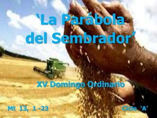 ‘La Parábola
del Sembrador’
Mt 13, 1 -23 Ciclo ‘A’
XV Domingo Ordinario
 