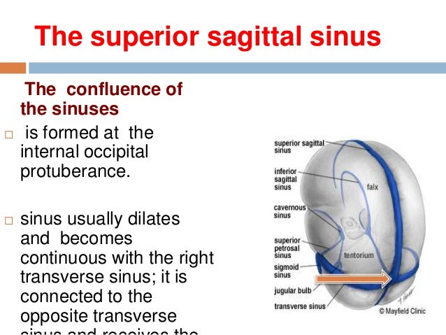 15 Dural Venous Sinuses 15 Dural Venous Sinuses