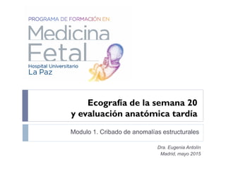 Modulo 1. Cribado de anomalías estructurales
Dra. Eugenia Antolín
Madrid, mayo 2015
Ecografía de la semana 20
y evaluación anatómica tardía
 