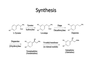 Synthesis
 