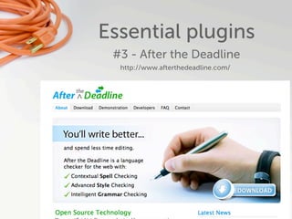 Essential plugins
 #3 - After the Deadline
  http://www.afterthedeadline.com/
 
