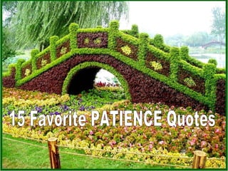 15 Favorite PATIENCE Quotes 