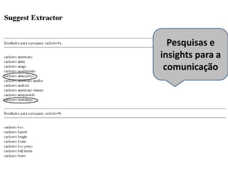 Pesquisas e
insights para a
comunicação

 