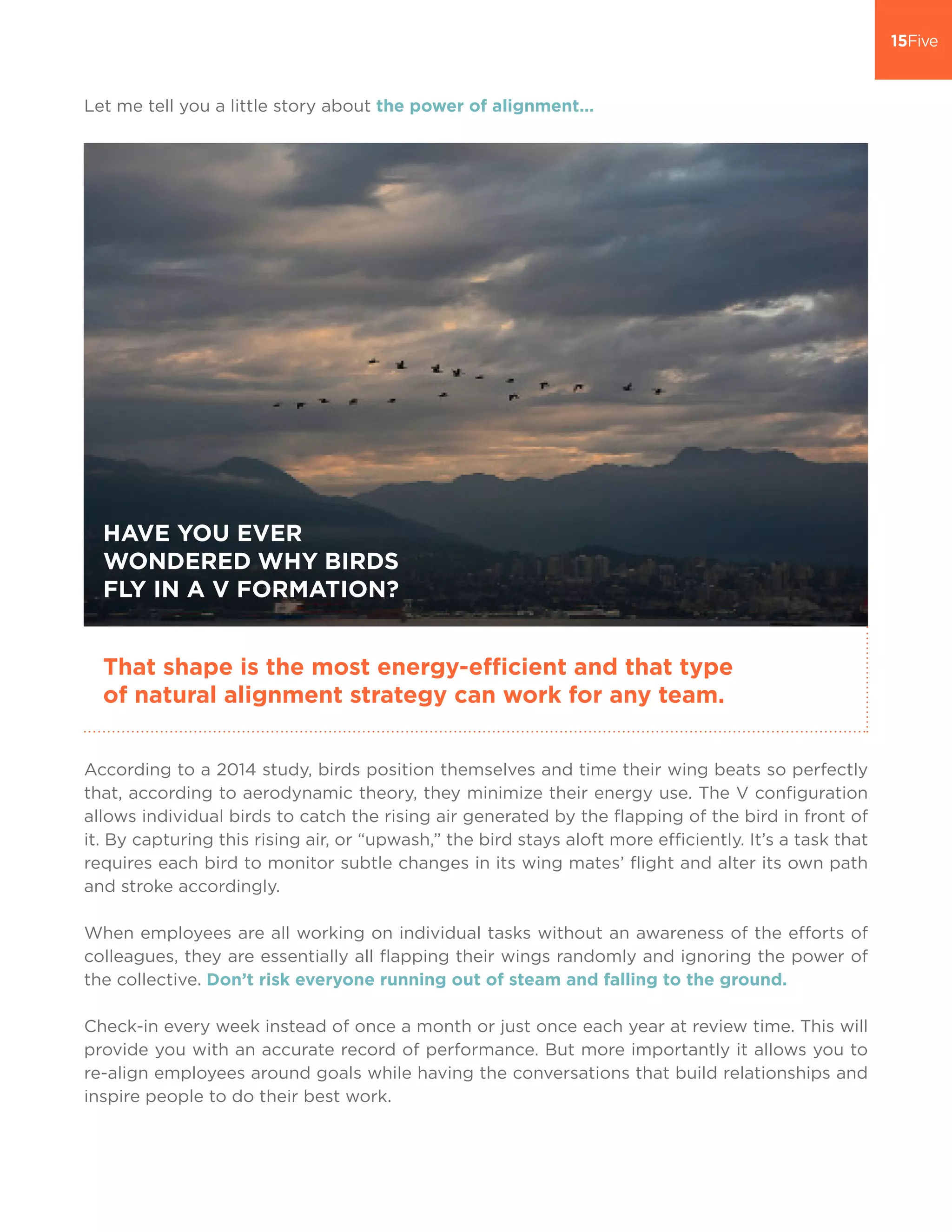 Let me tell you a little story about the power of alignment...
According to a 2014 study, birds position themselves and time their wing beats so perfectly
that, according to aerodynamic theory, they minimize their energy use. The V configuration
allows individual birds to catch the rising air generated by the flapping of the bird in front of
it. By capturing this rising air, or “upwash,” the bird stays aloft more efficiently. It’s a task that
requires each bird to monitor subtle changes in its wing mates’ flight and alter its own path
and stroke accordingly.
When employees are all working on individual tasks without an awareness of the efforts of
colleagues, they are essentially all flapping their wings randomly and ignoring the power of
the collective. Don’t risk everyone running out of steam and falling to the ground.
Check-in every week instead of once a month or just once each year at review time. This will
provide you with an accurate record of performance. But more importantly it allows you to
re-align employees around goals while having the conversations that build relationships and
inspire people to do their best work.
HAVE YOU EVER
WONDERED WHY BIRDS
FLY IN A V FORMATION?
That shape is the most energy-efficient and that type
of natural alignment strategy can work for any team.
 