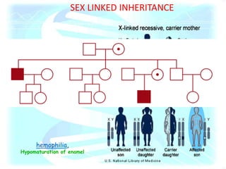 SEX LINKED INHERITANCE
hemophilia,
Hypomaturation of enamel
• almost completely restricted
to males
• X-LINKED or Y-LINKED
•QUEEN VICTORIA
 