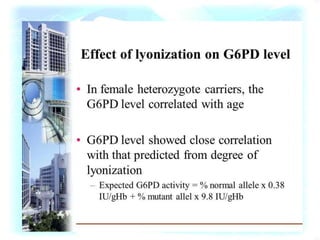 X-inactivation (also called lyonization)
• A process by which one of the copies of the X
chromosome present in female mammals is inactivated.
• The inactive X chromosome is silenced by its being packaged
in such a way that it has a transcriptionally inactive structure
called heterochromatin.
• As nearly all female mammals have two X chromosomes, X-
inactivation prevents them from having twice as many X
chromosome gene products as males, who only possess a
single copy of the X chromosome.
• The choice of which X chromosome will be inactivated is
random, but once an X chromosome is inactivated it will
remain inactive throughout the lifetime of the cell and its
descendants in the organism.
 