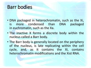 Barr bodies
• DNA packaged in heterochromatin, such as the Xi,
is more condensed than DNA packaged
in euchromatin, such as the Xa.
• The inactive X forms a discrete body within the
nucleus called a Barr body.
• The Barr body is generally located on the periphery
of the nucleus, is late replicating within the cell
cycle, and, as it contains the Xi, contains
heterochromatin modifications and the Xist RNA.
 