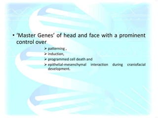• ‘Master Genes’ of head and face with a prominent
control over
 patterning ,
 induction,
 programmed cell death and
 epithelial-mesenchymal interaction during craniofacial
development.
 