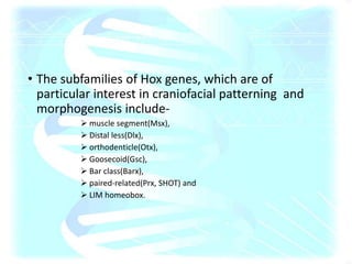 • The subfamilies of Hox genes, which are of
particular interest in craniofacial patterning and
morphogenesis include-
 muscle segment(Msx),
 Distal less(Dlx),
 orthodenticle(Otx),
 Goosecoid(Gsc),
 Bar class(Barx),
 paired-related(Prx, SHOT) and
 LIM homeobox.
 