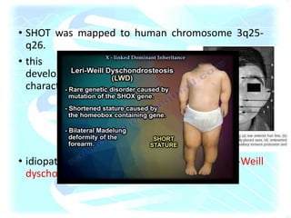 • SHOT was mapped to human chromosome 3q25-
q26.
• this chromosomal region is involved in
development of Cornelia-de- Hange syndrome,
characterized by
 mental retardation,
 microcephaly,
 cleft palate,
 abnormally situated eyelids,
 nose and ear deformities,
 heart and lung defects.
• idiopathic short stature in humans,and Leri-Weill
dyschondrosteosis
 