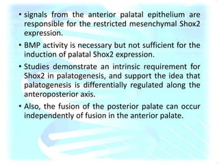 • signals from the anterior palatal epithelium are
responsible for the restricted mesenchymal Shox2
expression.
• BMP activity is necessary but not sufficient for the
induction of palatal Shox2 expression.
• Studies demonstrate an intrinsic requirement for
Shox2 in palatogenesis, and support the idea that
palatogenesis is differentially regulated along the
anteroposterior axis.
• Also, the fusion of the posterior palate can occur
independently of fusion in the anterior palate.
 