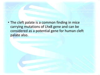 • The cleft palate is a common finding in mice
carrying mutations of Lhx8 gene and can be
considered as a potential gene for human cleft
palate also.
 