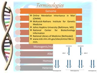 Genome
Genes
Genotype
Phenotype
Trait
Monogenic/mandelian trait
Allele
Homozygous
Heterozygous
 Online Mendelian Inheritance in Man
(OMIM)
 McKusick-Nathans Institute for Genetic
Medicine
 Johns Hopkins University [Baltimore, MD]
 National Center for Biotechnology
Information
 National Library of Medicine [Bethesda])
 www.ncbi.nlm.nih.gov/sites/entrez?db=o
mim.
 